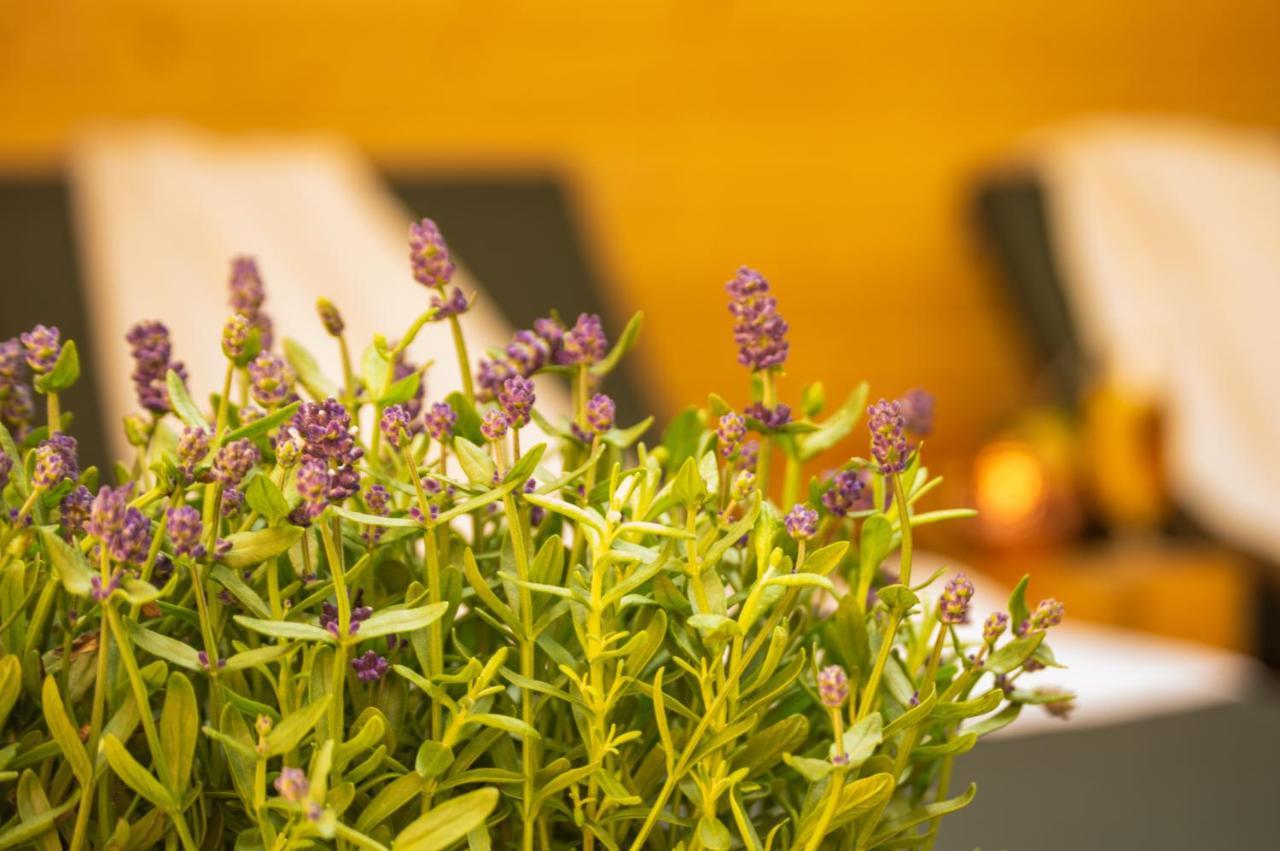 Wellness Mitten In Der Wasserfallstadt Triberg Triberg im Schwarzwald Ngoại thất bức ảnh